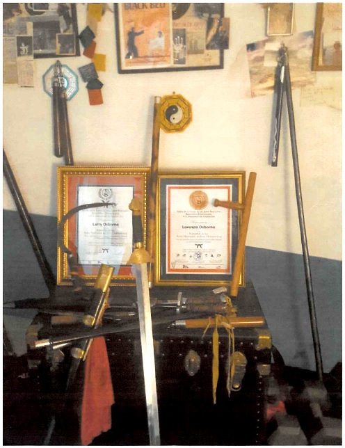 Armas Tradicionales Kwoon Sijo Lorenzo